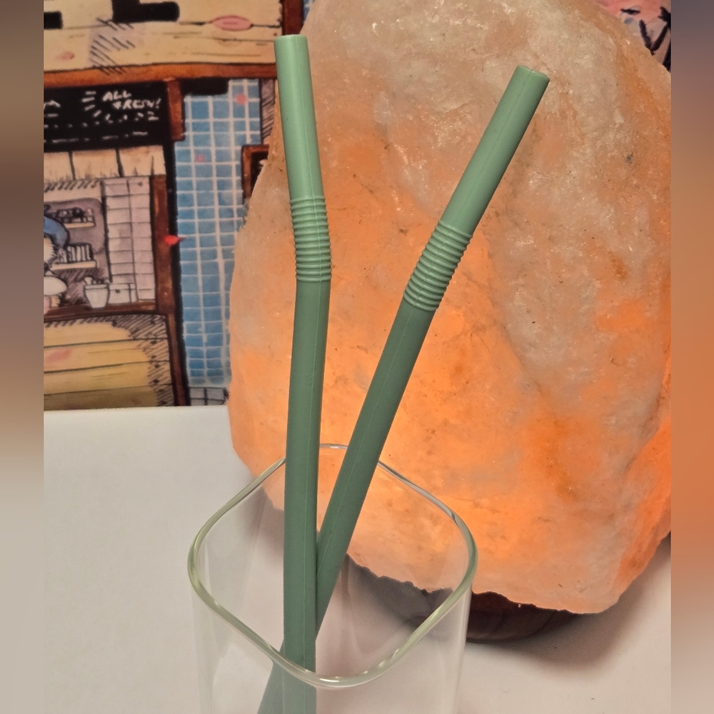 2/$15 Reusable Green Silicone Straws ~ Set of 2